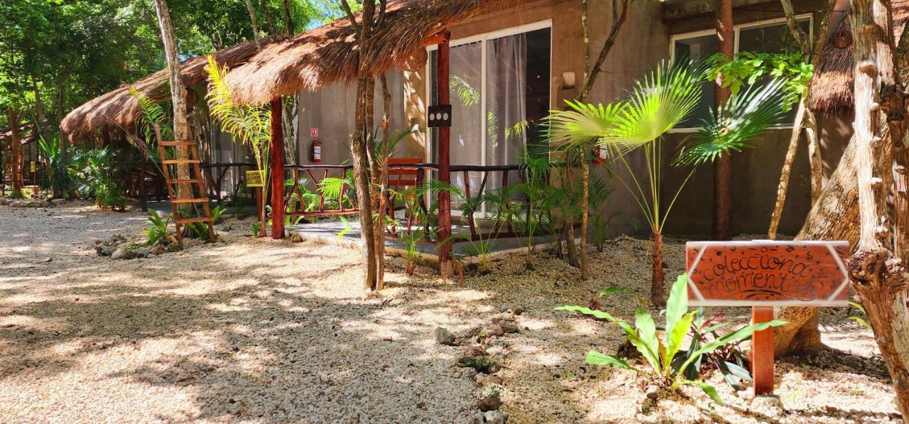 Hotel Kin Tulum Jungle Deluxe Екстериор снимка