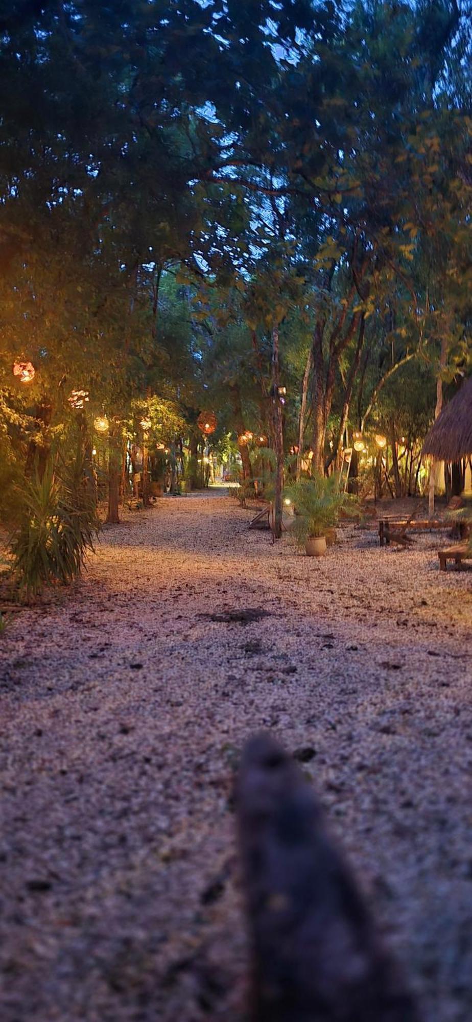 Hotel Kin Tulum Jungle Deluxe Екстериор снимка